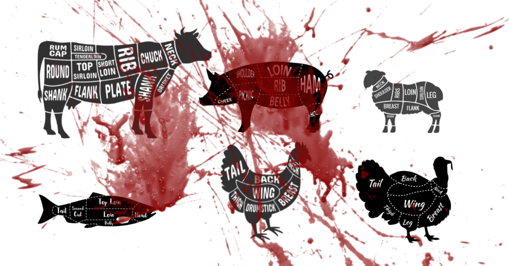 
A stylized chart of butcher cuts for five animals (beef, pork, lamb, chicken, and turkey) and one fish, silhouetted against a white background heavily splattered with red, symbolizing blood, reinforcing the phrase meat is murder.

The chart details the cuts:

Beef: Round, Shank, Flank, Sirloin, Tenderloin, Top Sirloin, Short Loin, Plate, Rib, Chuck, Neck, and Brisket.

Pork: Head, Shoulder, Picnic, Loin, Rib, Belly, Ham, and Hock.

Lamb: Neck, Shoulder, Ribs, Breast, Flank, Loin, and Leg.

Chicken: Tail, Back, Thigh, Drumstick, Wing, and Breast.

Turkey: Tail, Back, Wing, Breast, Thigh, and Leg.

Fish (Generic): Tail, Second Cut, Loin, Belly, Head, and Fins.